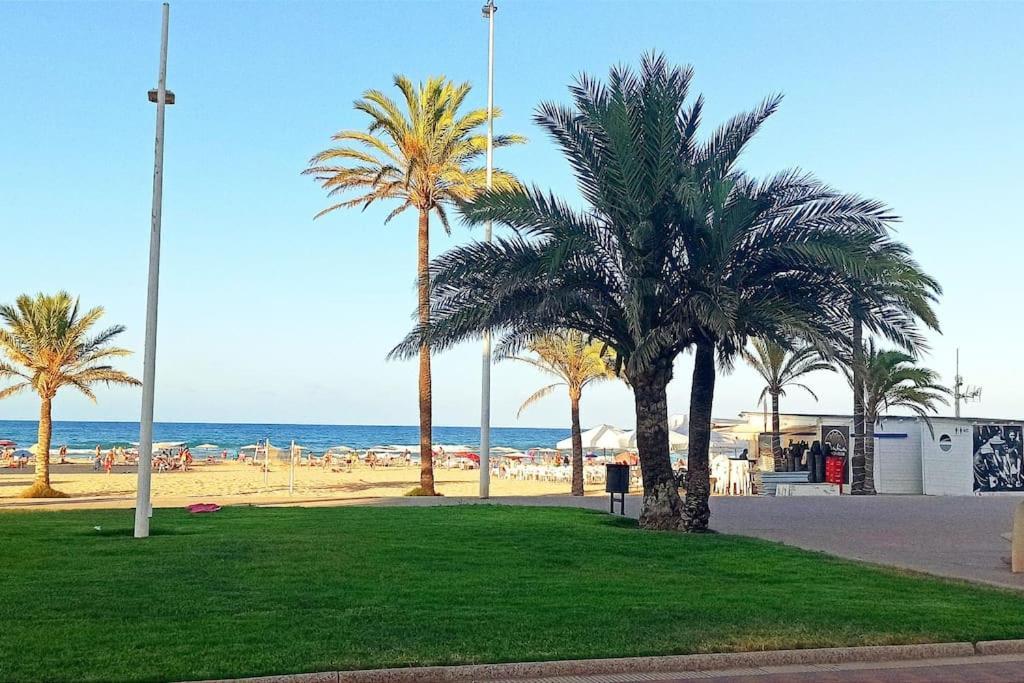 Apartamento, Estudio En La Playa Playa de Gandia Dış mekan fotoğraf